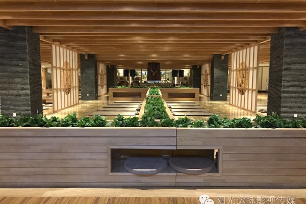 重庆按摩MM，舒适体验，养生秘籍！